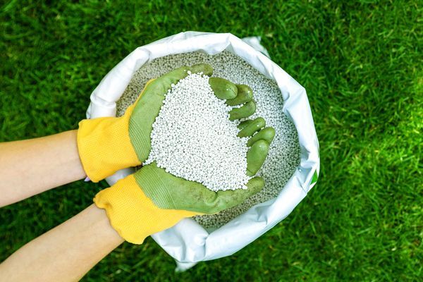 Fertilization and weed control