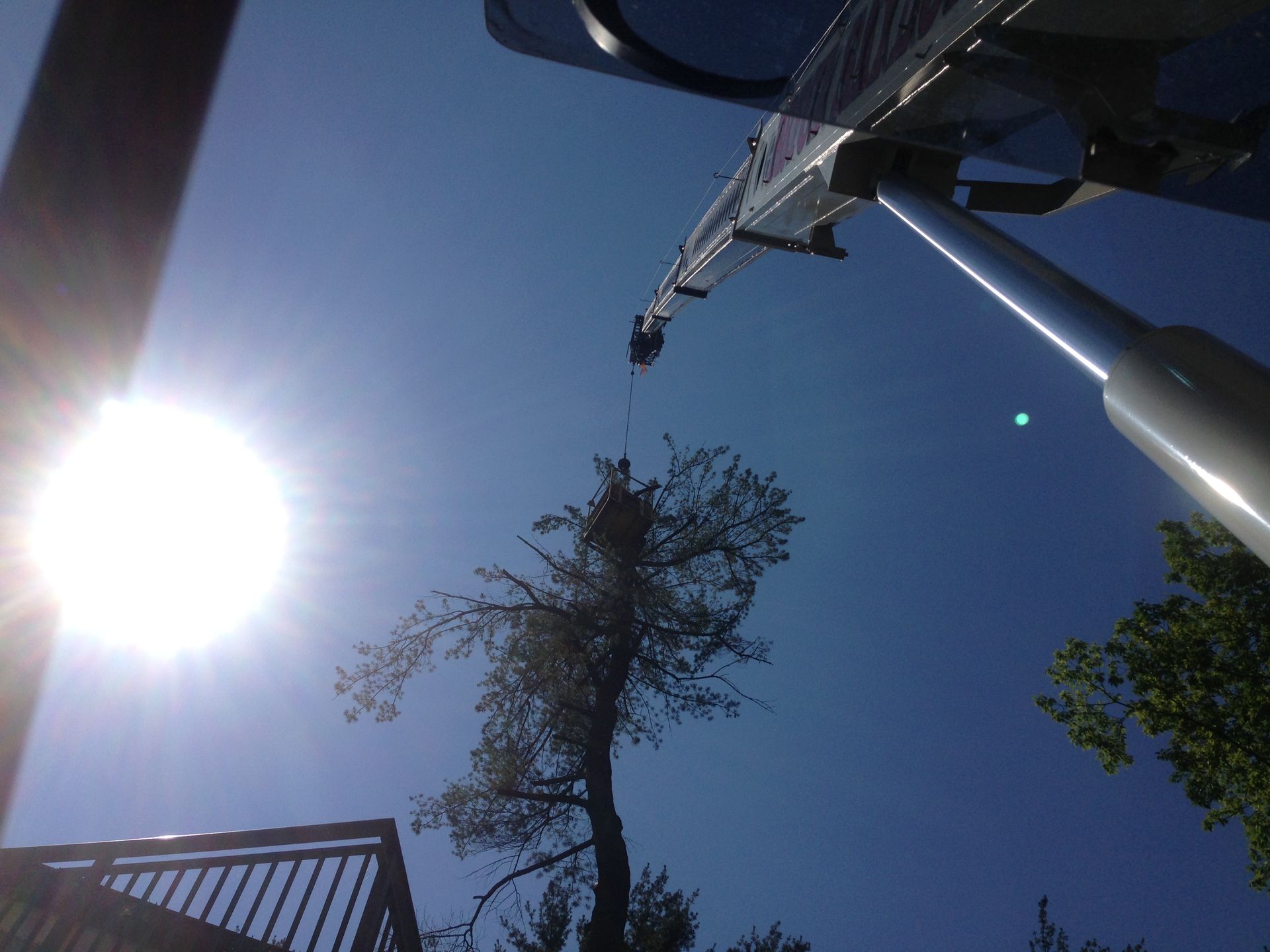 Low-angle view of a bright sun, blue sky, tree canopy, and a tall metal structure overhead