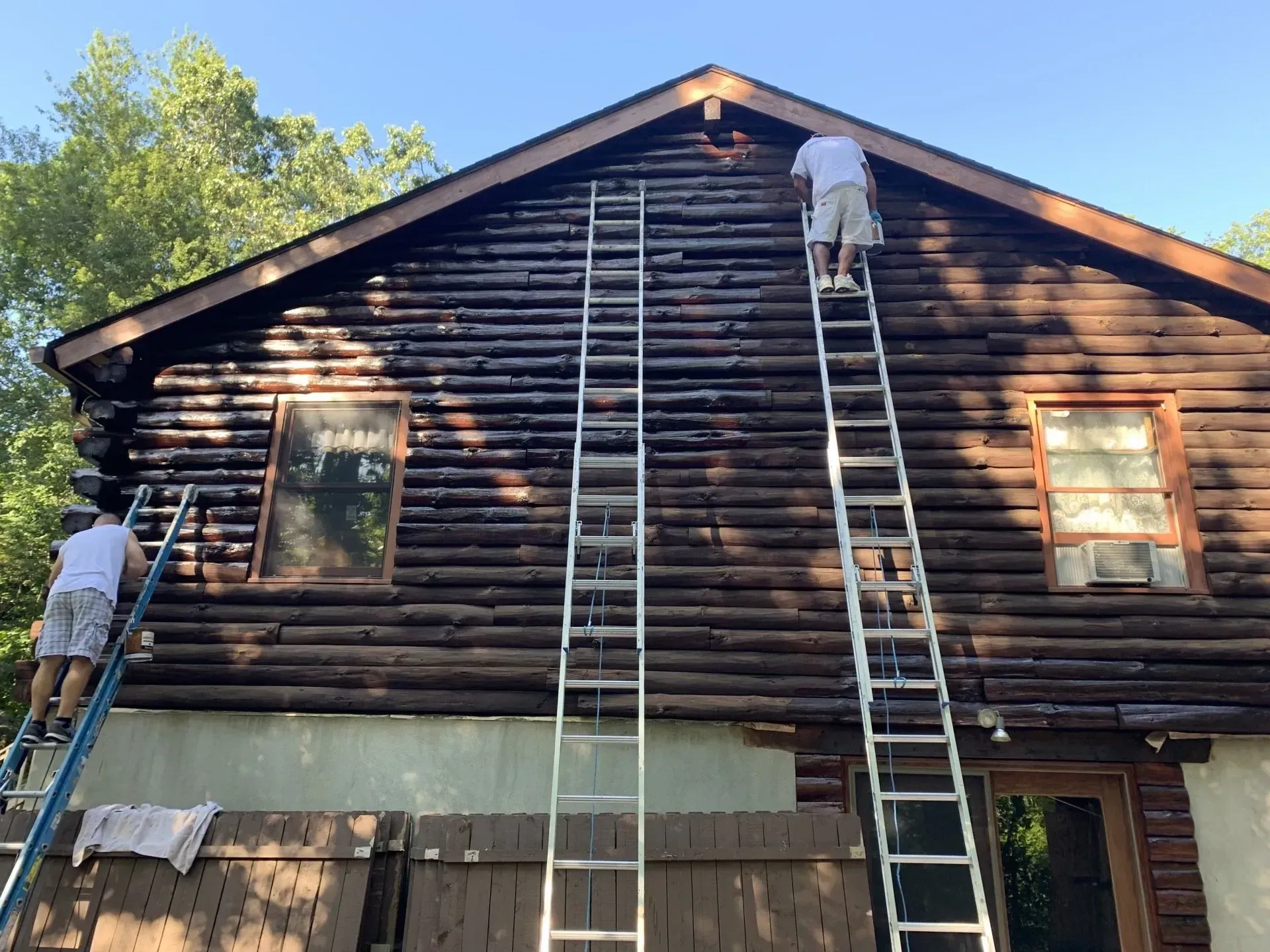 Two people painting a dark brown log cabin using ladders against a blue sky, surrounded by trees.
