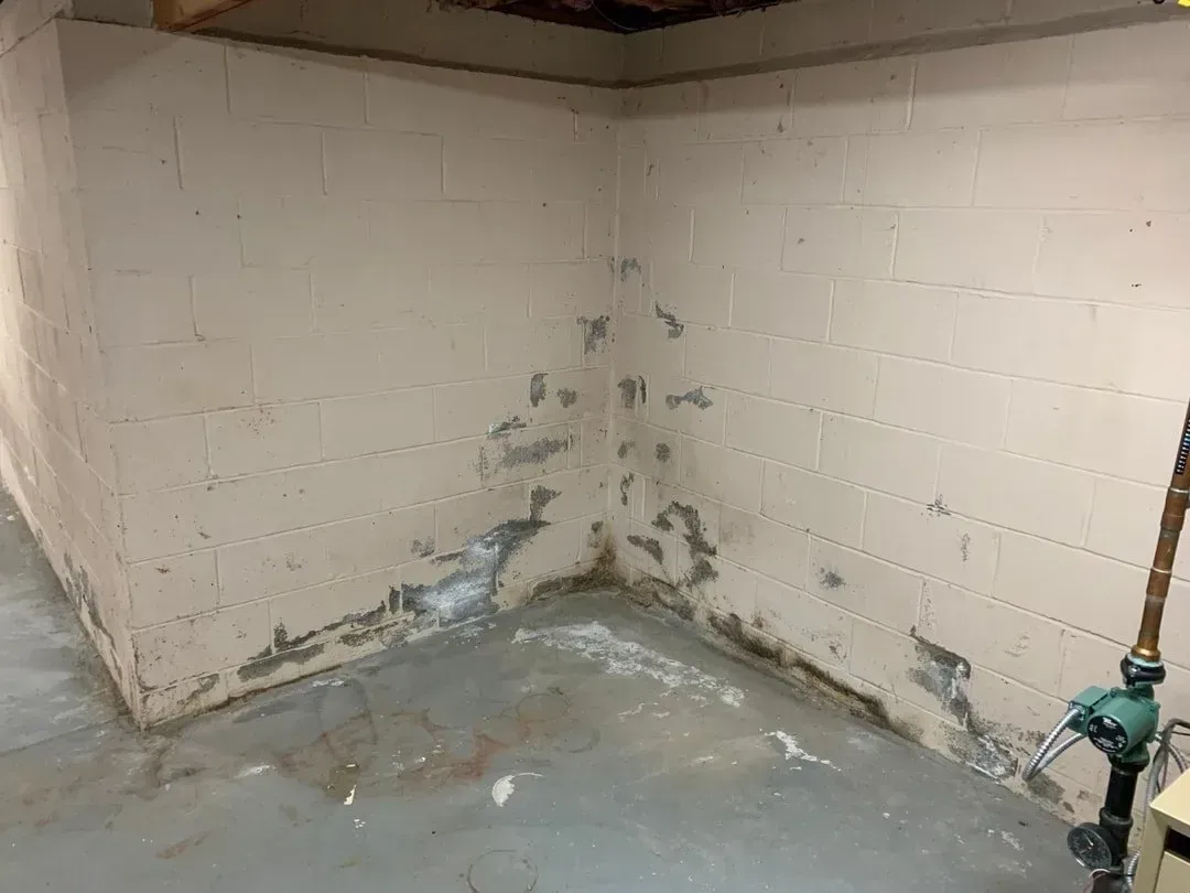 Concrete basement corner with peeling, stained paint; some white residue on floor.