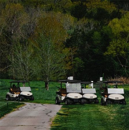 Golf carts parked on a grassy area next to a paved path, with trees in the background.