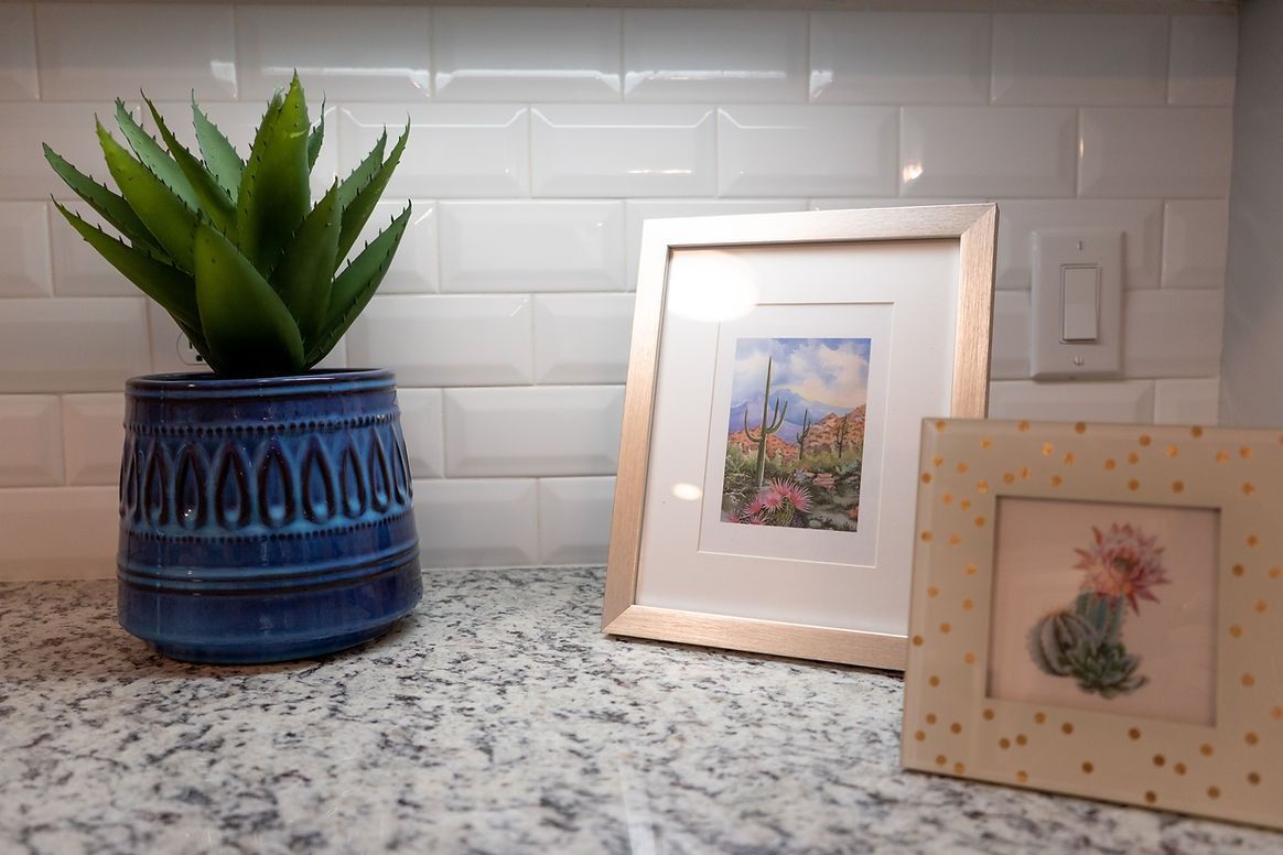 A potted plant is sitting on a counter next to a framed picture.