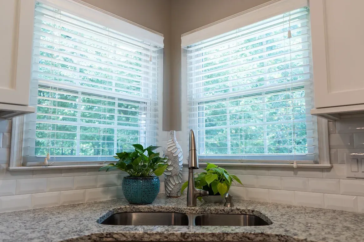 A kitchen sink with two windows and a potted plant on the counter.