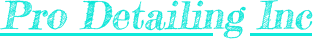 pro-detailing-inc-logo