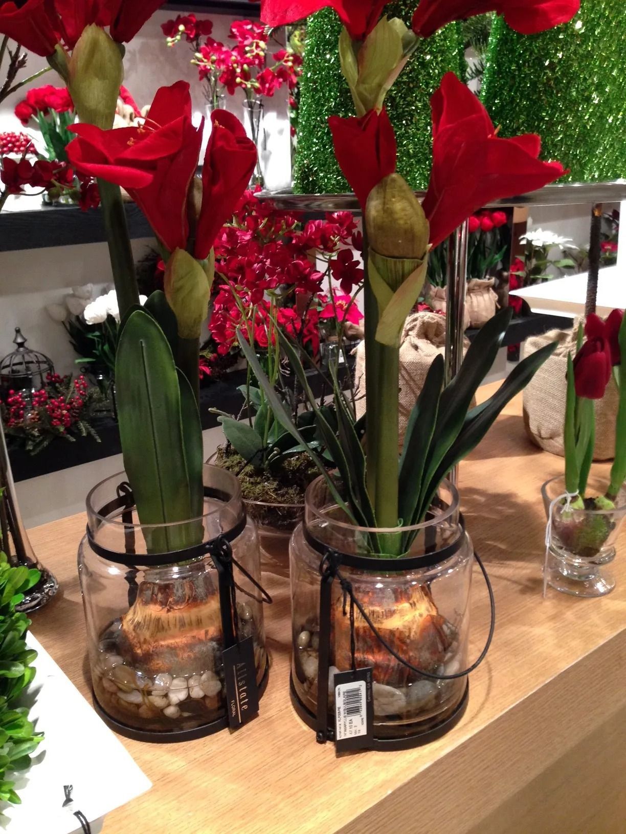 Red amaryllis flowers in glass jars with rocks on a wooden surface.