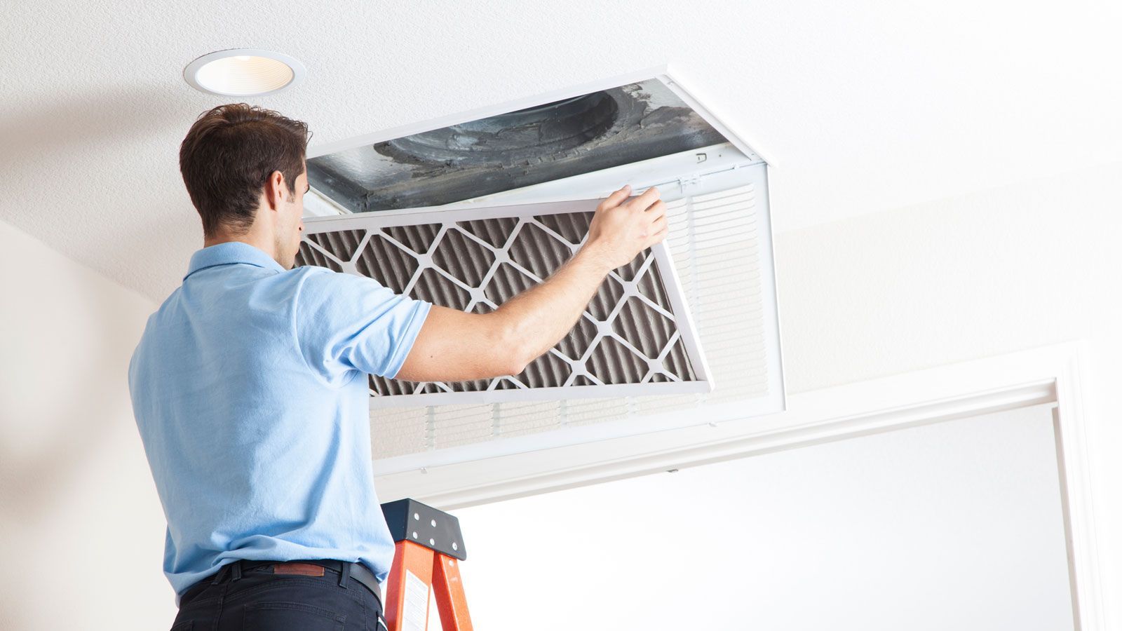 West Side Carpet Cleaning
