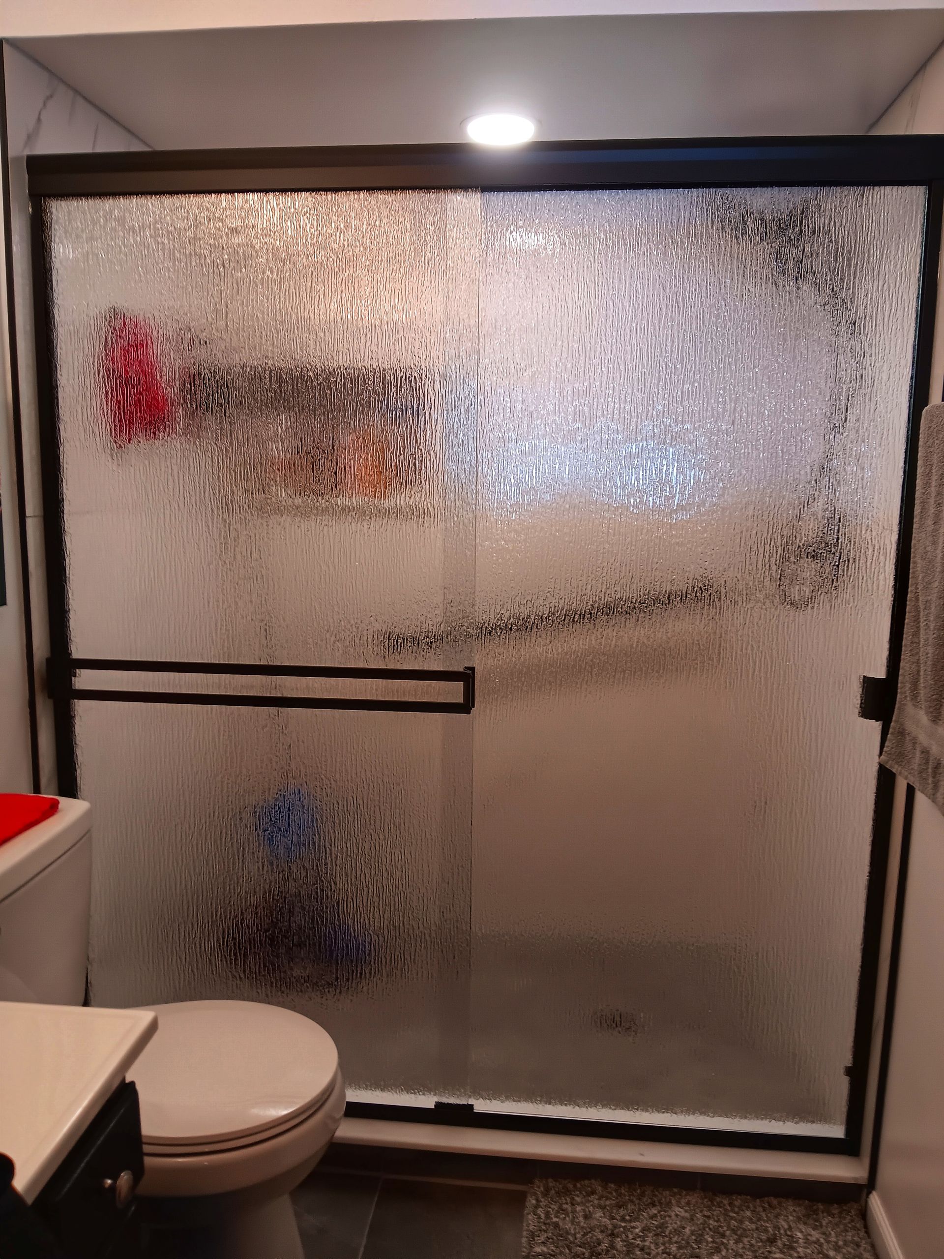 A shower with frosted glass doors and dark framing. A toilet is visible in the foreground.