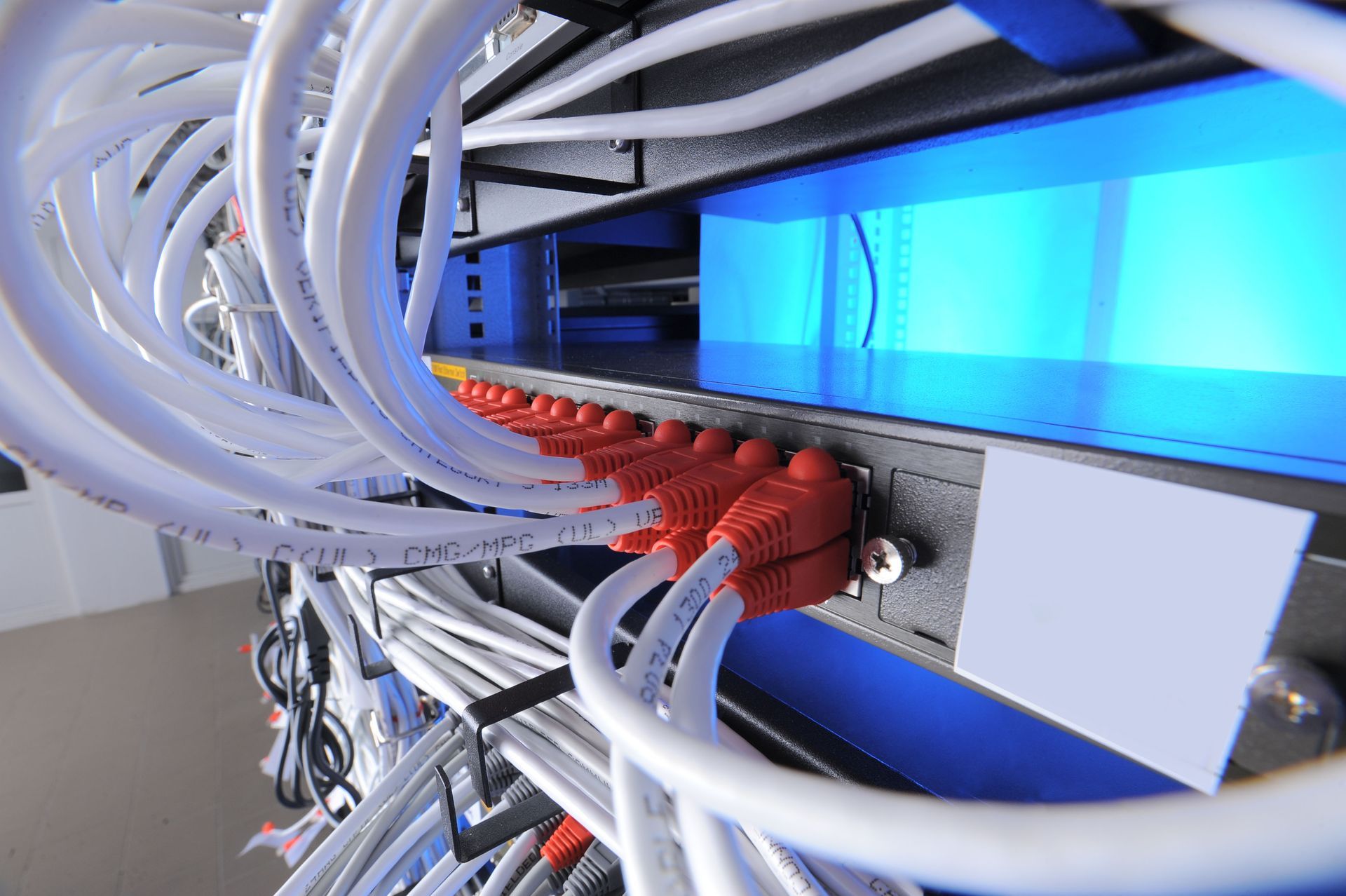 Network server rack with white and red Ethernet cables connected to a blue-lit device.