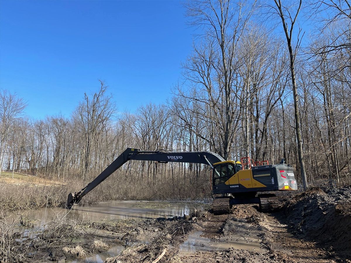 Marsh excavating