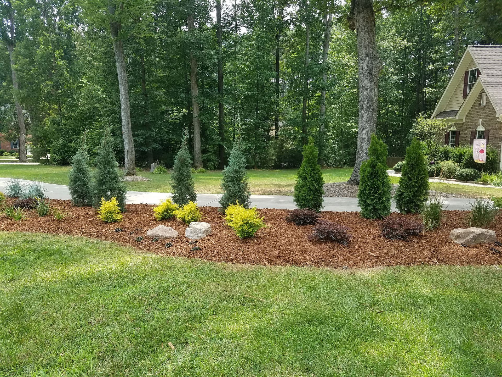 A lush green yard with trees and mulch in front of a house.