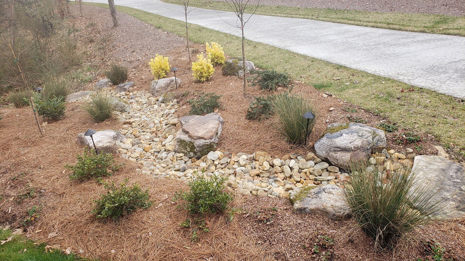 A garden with rocks , plants and mulch next to a road.