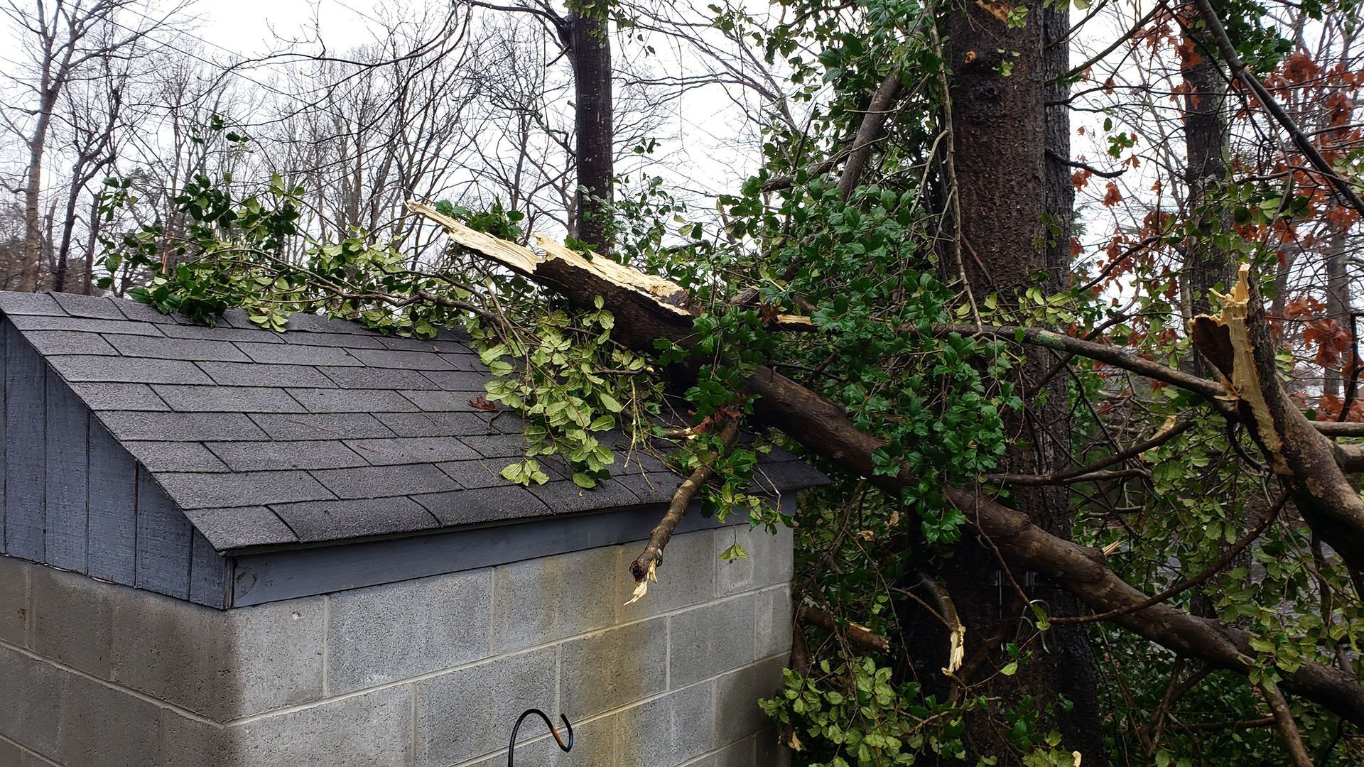 A shed with a roof that has been damaged by a tree.