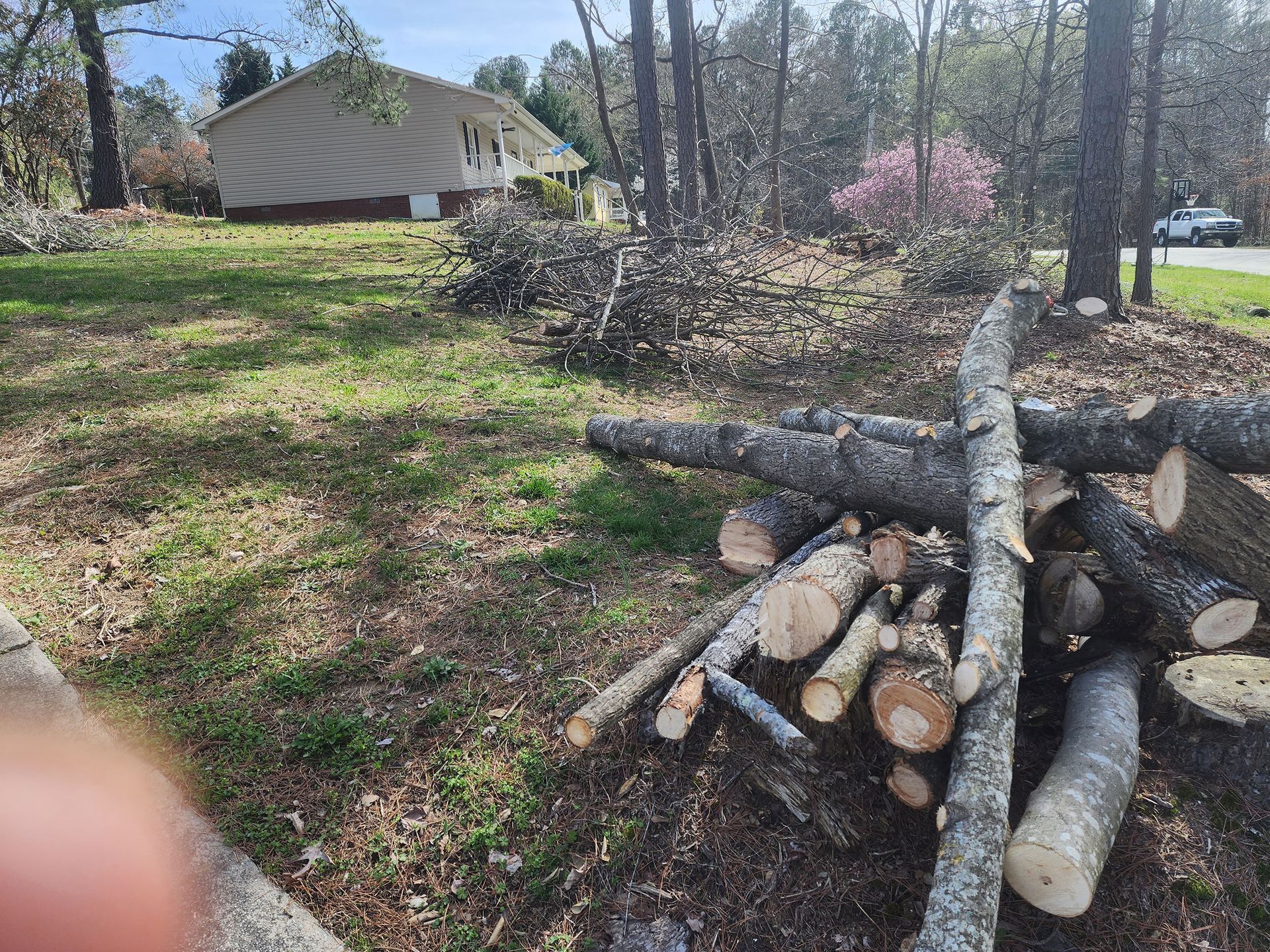 A pile of logs is sitting in the grass in front of a house.