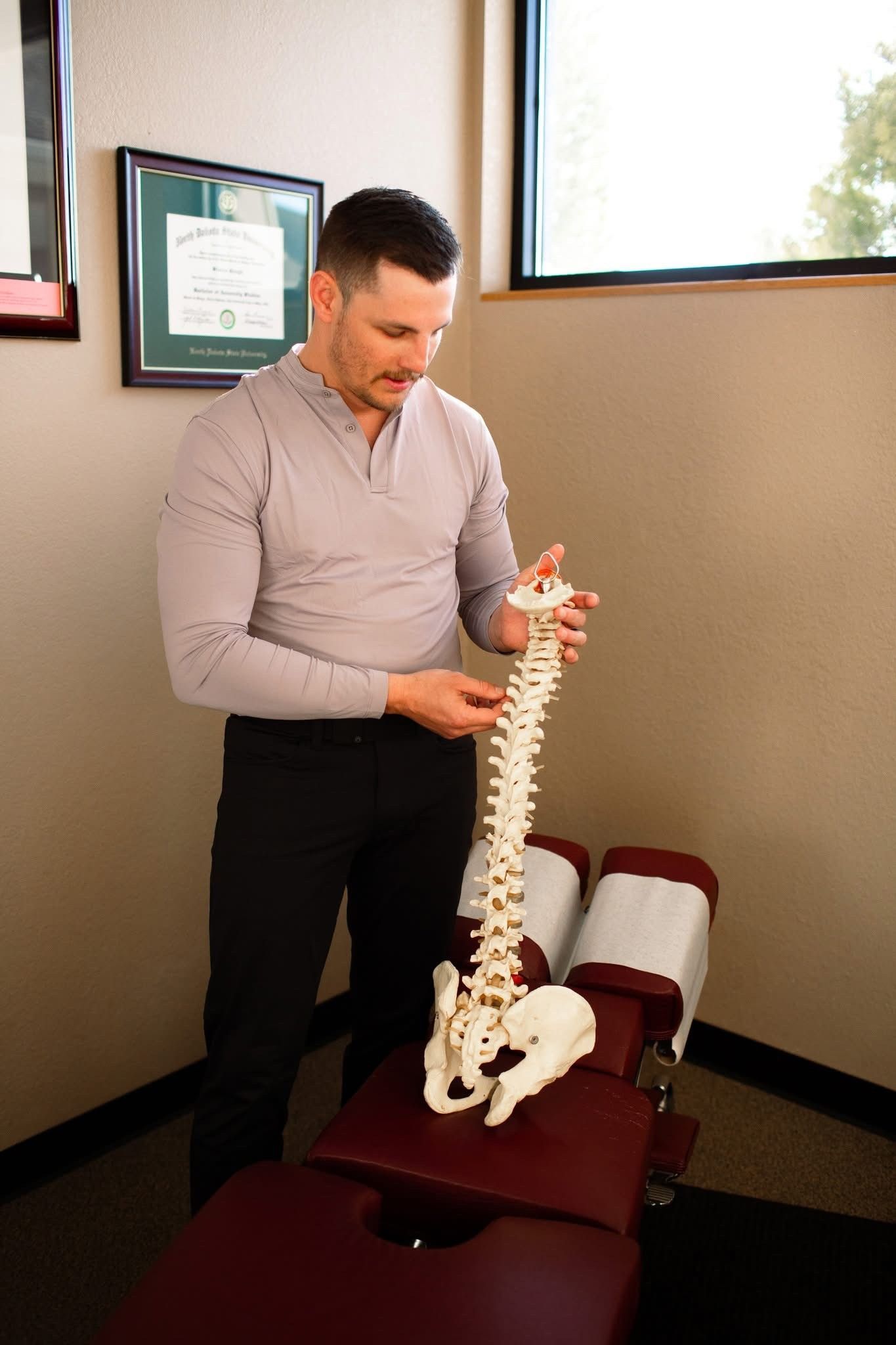 Chiropractor holding a spine model
