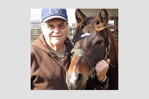 A man in a baseball cap stands next to a brown horse