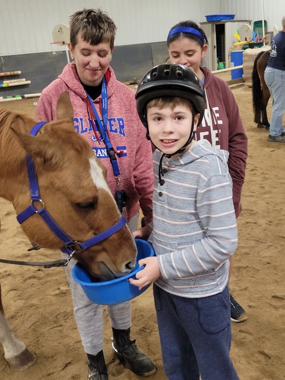 A boy wearing a helmet is feeding a horse from a blue bowl