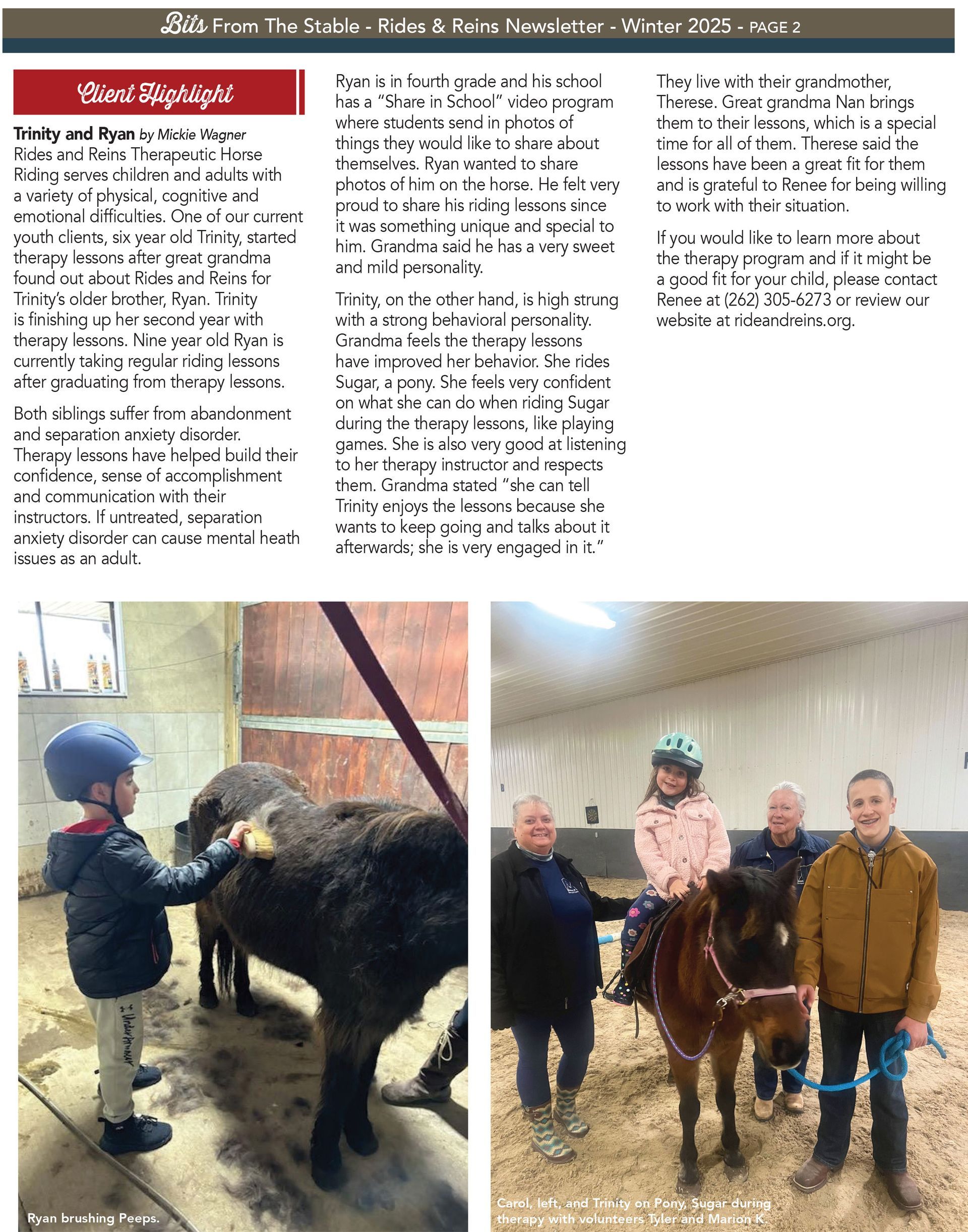 Boy brushing a dark animal in a stall