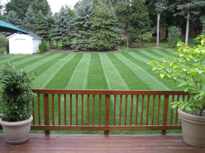 Lawn