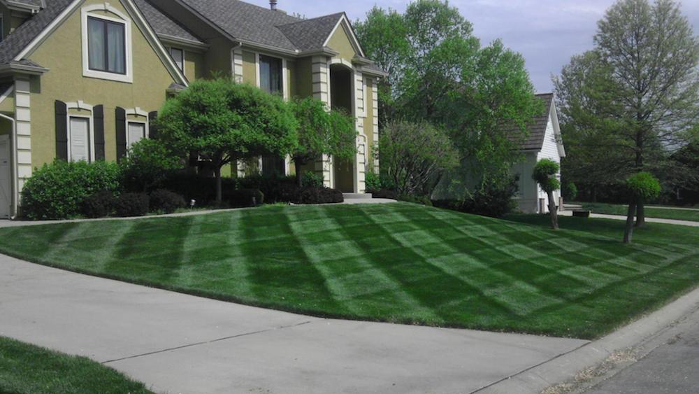 Lawn