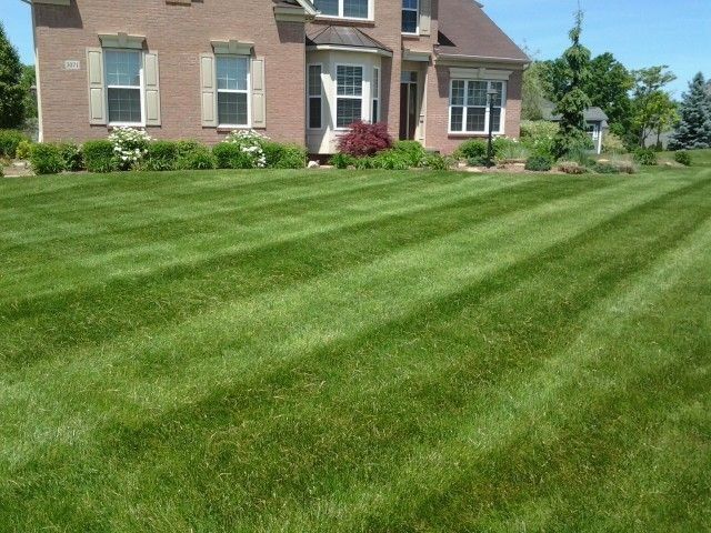 Lawn