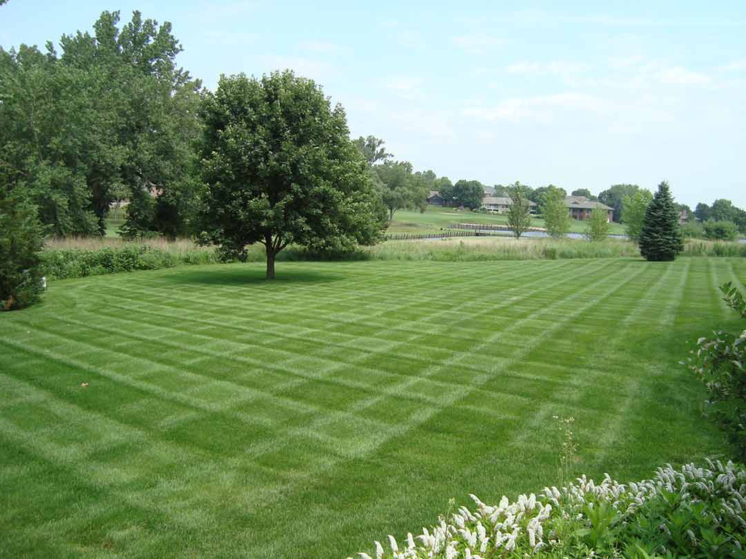 Lawn Maintenance