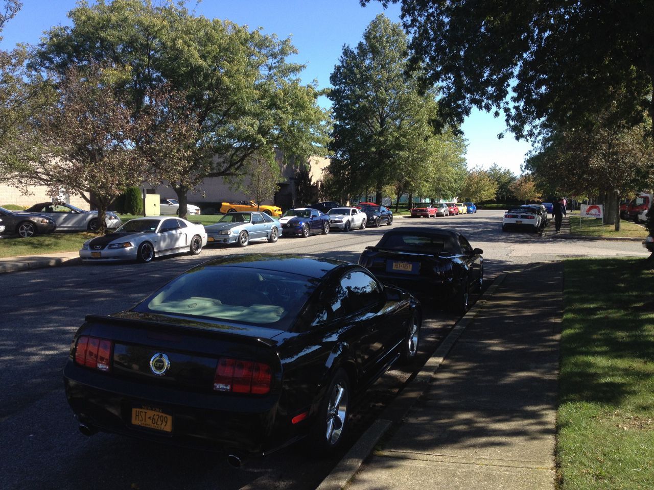 A black mustang is parked on the side of the road
