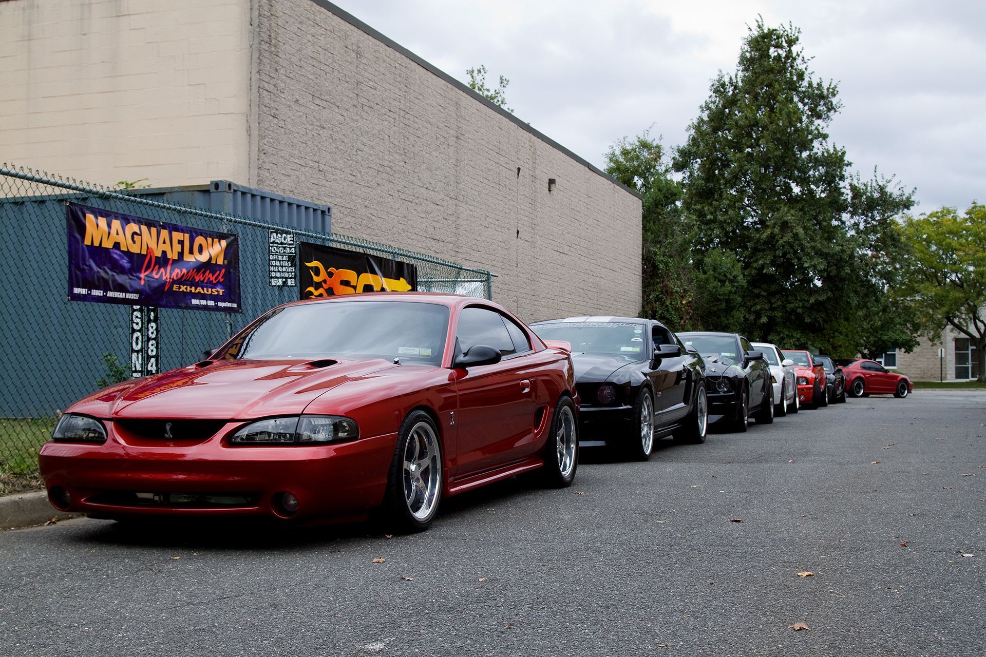 A row of cars are parked in front of a magnaflow sign