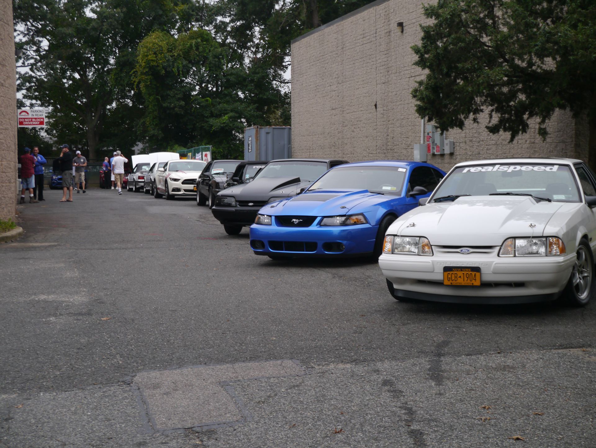 A blue mustang is parked next to a white mustang