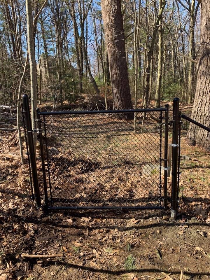 A black chain-link gate stands in a wooded area with trees and scattered brown leaves on the ground.