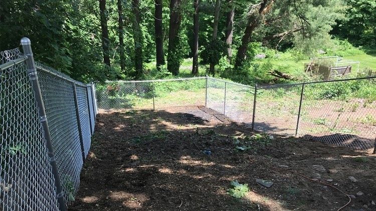 A chain-link fence encloses a sloped, mulch-covered area bordered by woods and green vegetation.