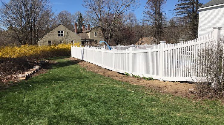 A white vinyl fence runs through a grassy backyard next to a yellow flowering shrub and a house on a sunny day.
