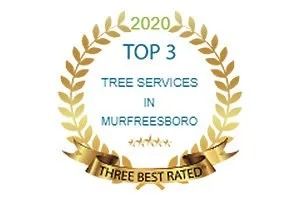 2020 gold laurel award badge for top 3 tree services in Murfreesboro, three best rated