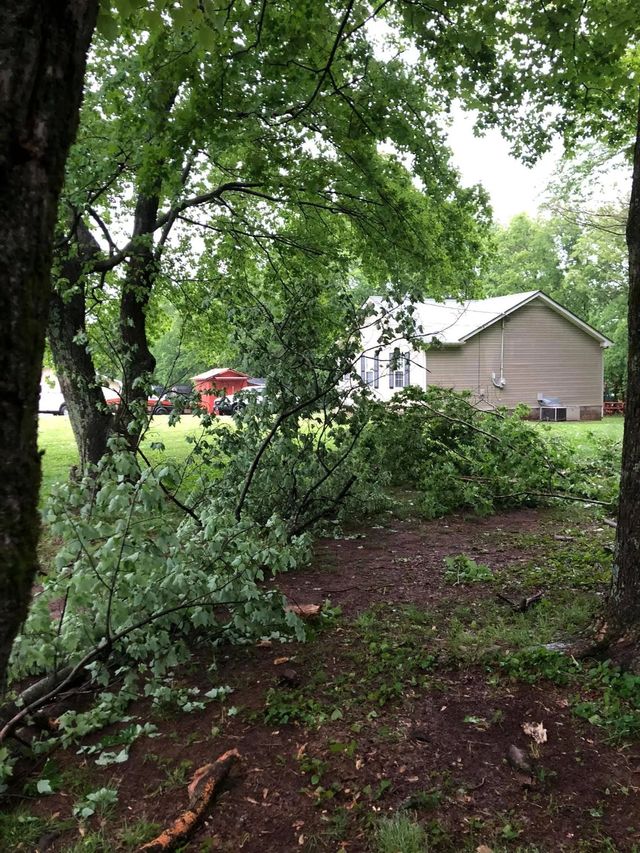 A fallen tree limb lies in a wet yard beside a house after a storm.