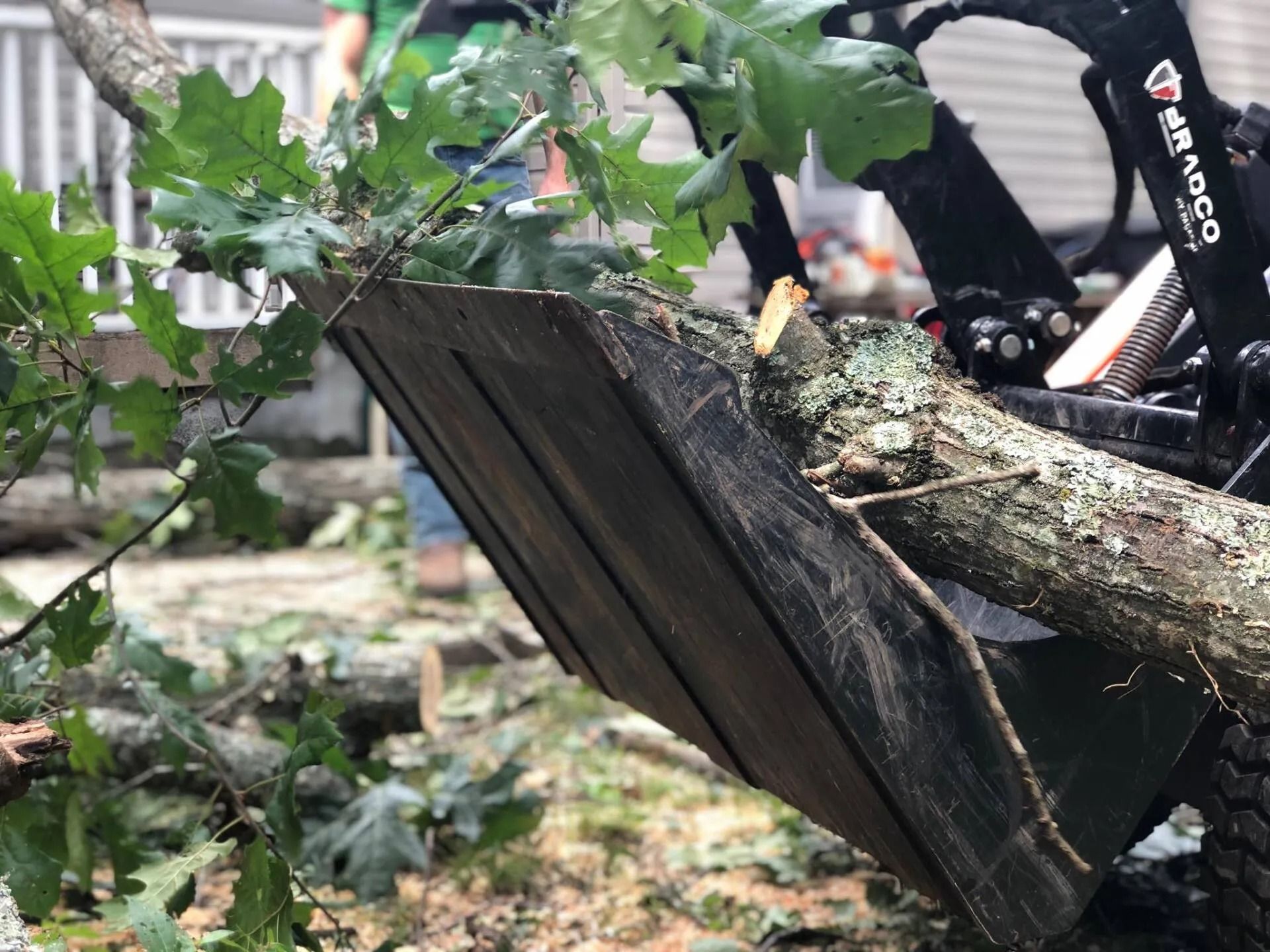 Tree branch being lifted into a black trailer by a wood chipper in a yard