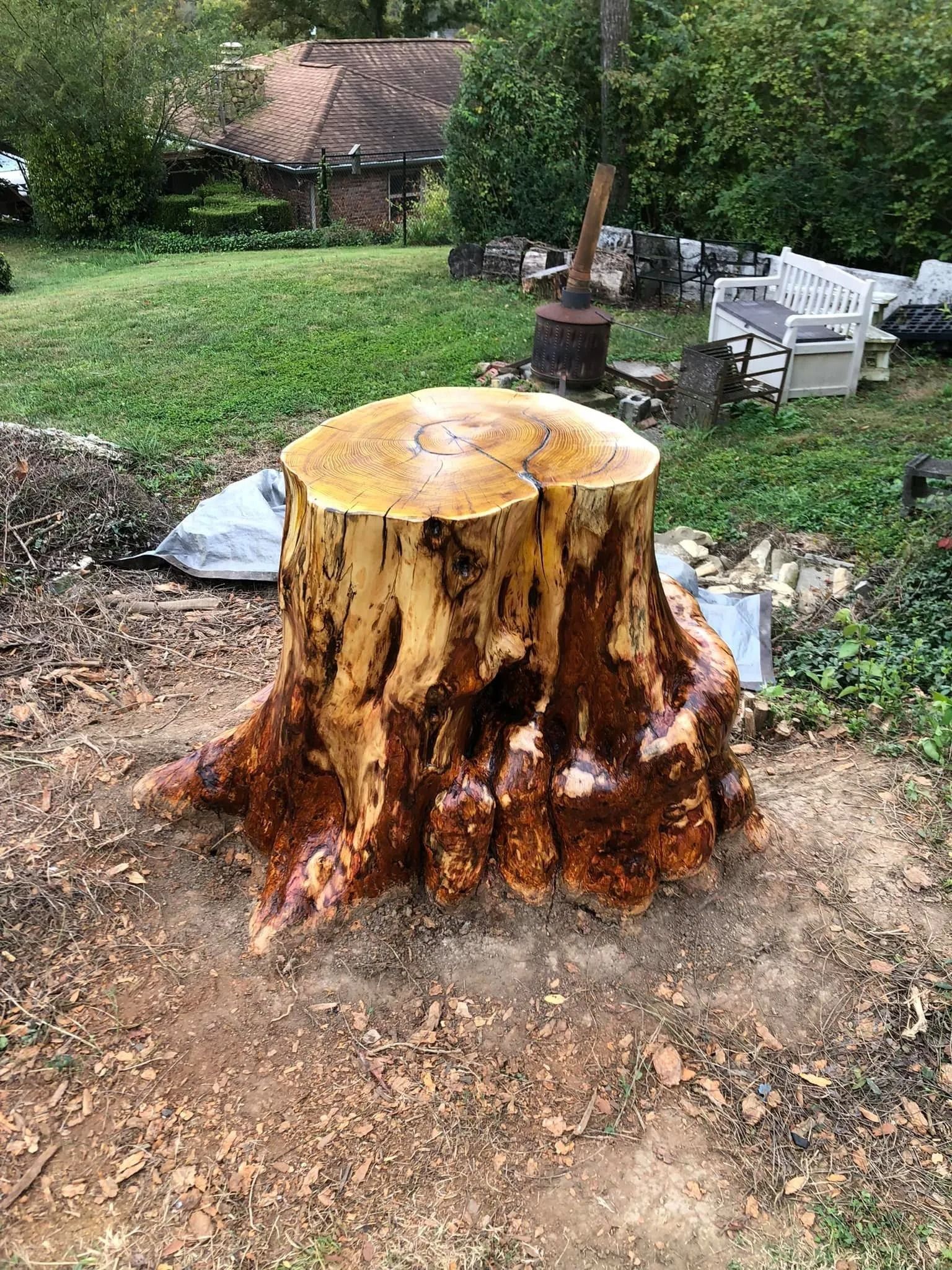 Large tree stump in a grassy yard with a house and outdoor furniture in the background.