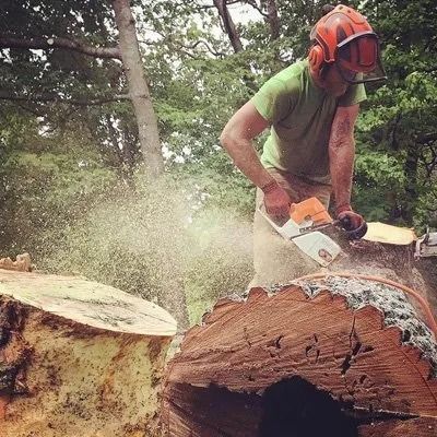 Worker using a chainsaw to cut a large fallen tree trunk amid flying sawdust outdoors
