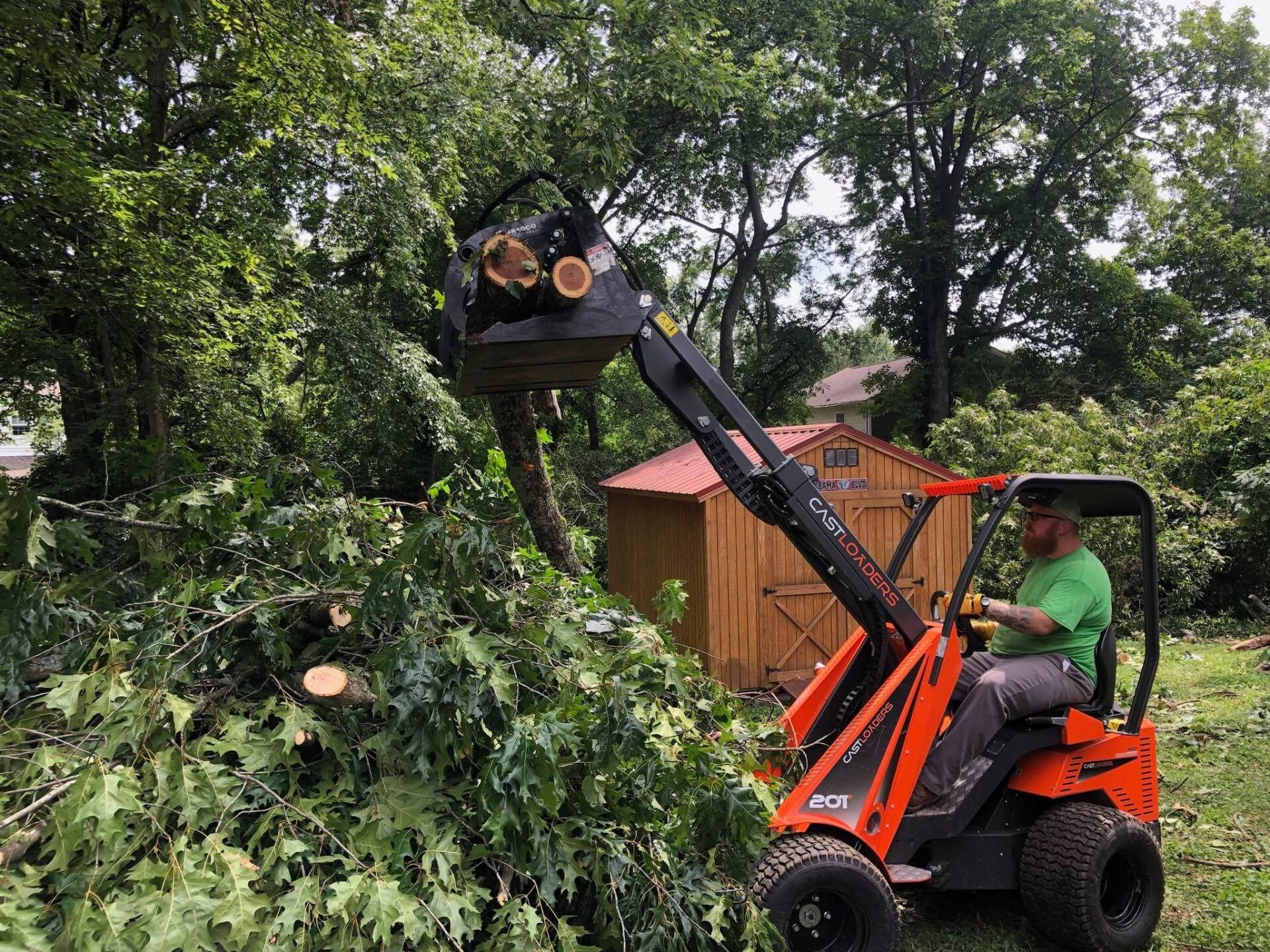 Orange loader lifts cut tree branches beside a small wooden shed in a leafy yard.