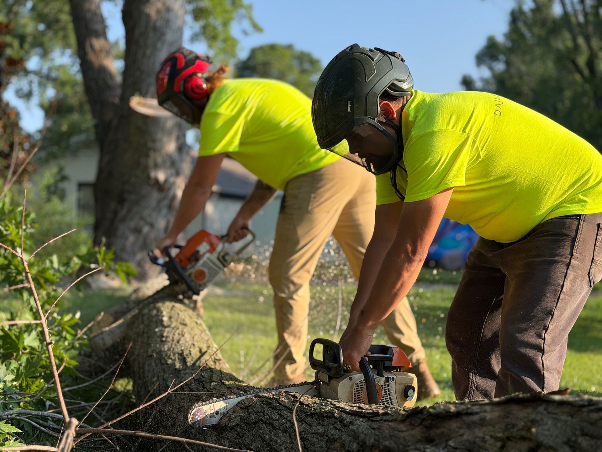 Two workers in bright yellow shirts cutting a fallen tree trunk with chainsaws outdoors