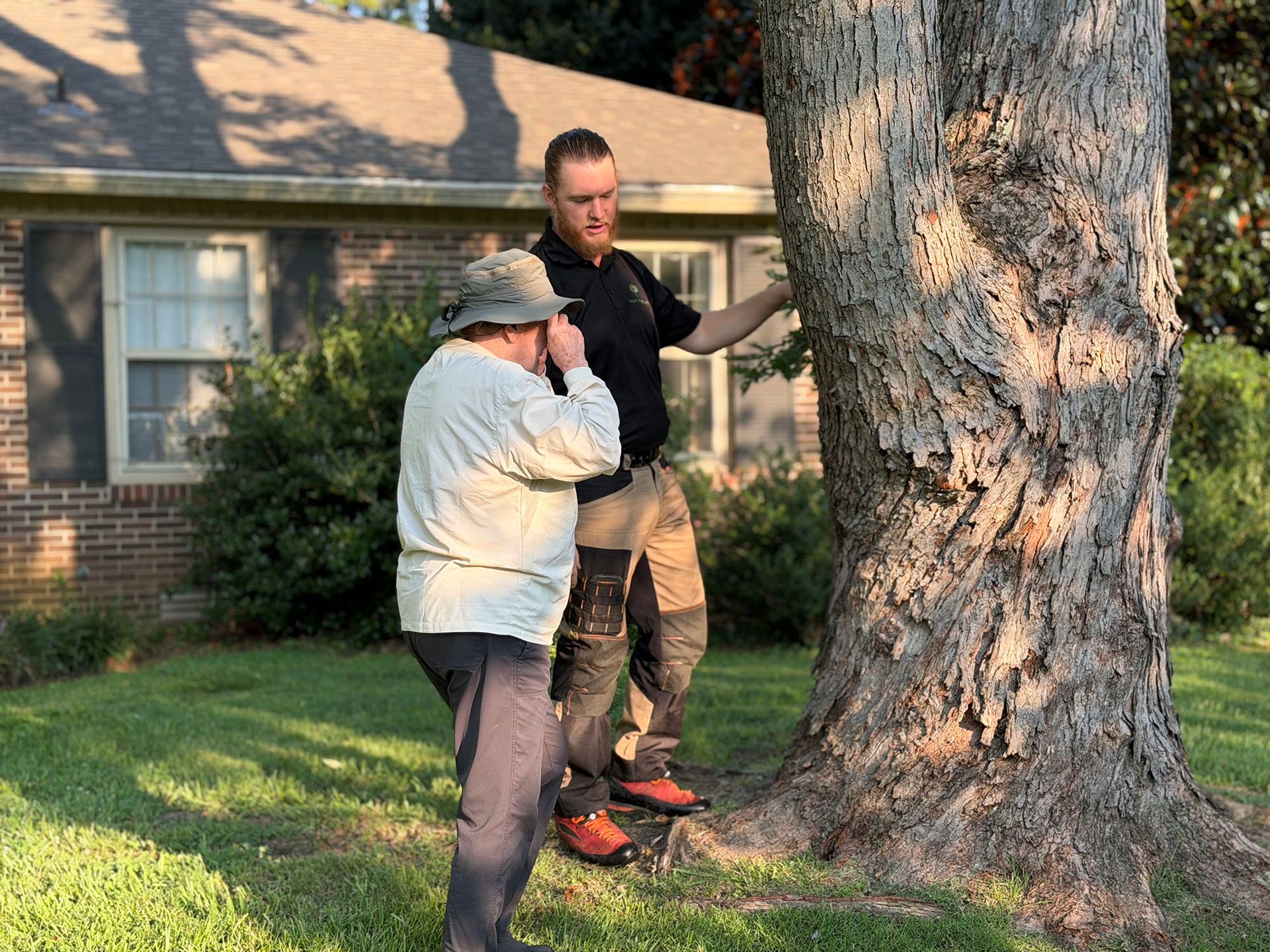 Two people standing by a large tree in a sunny yard beside a brick house
