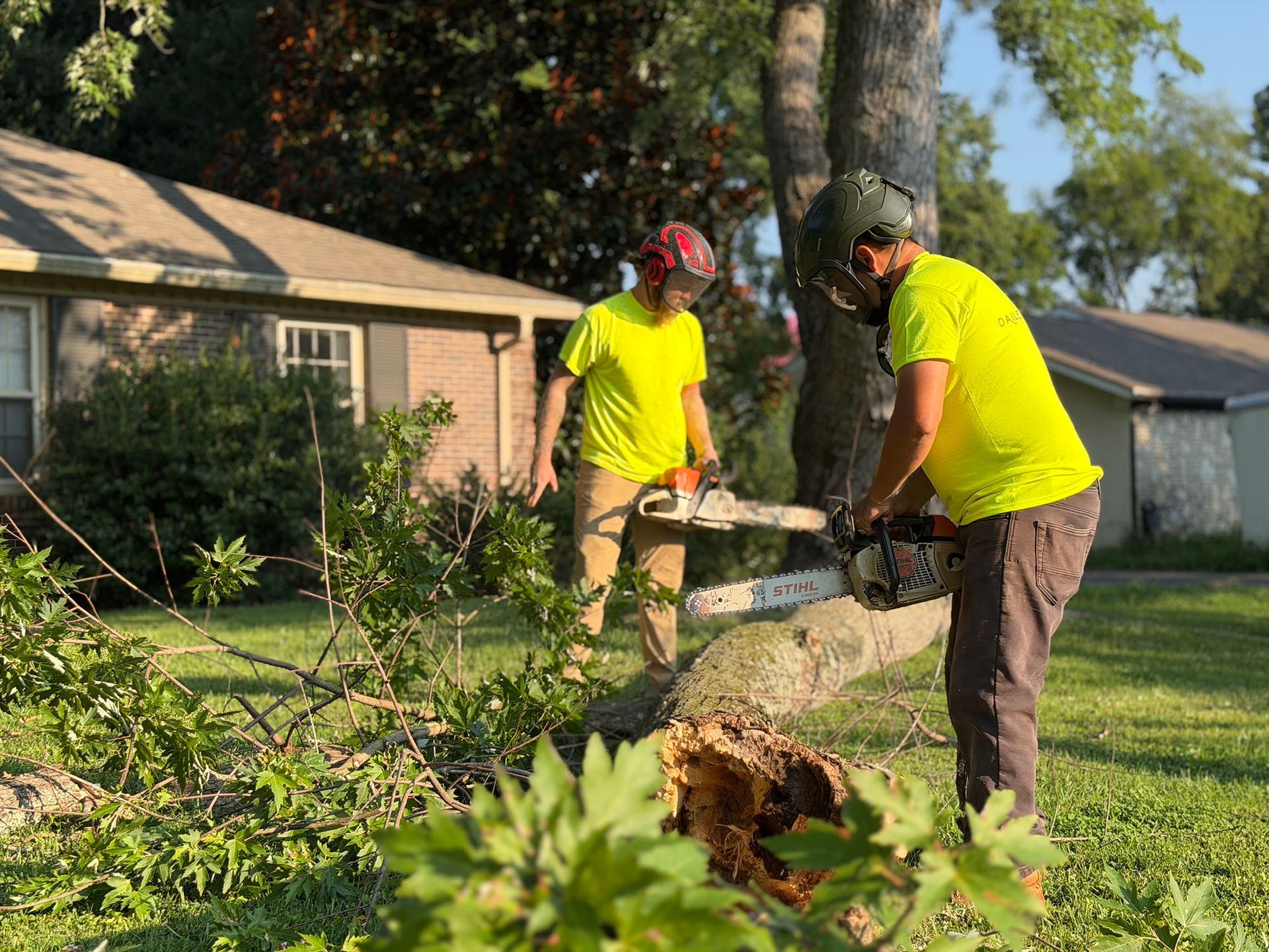 Two workers in neon shirts cutting up a fallen tree in a suburban yard