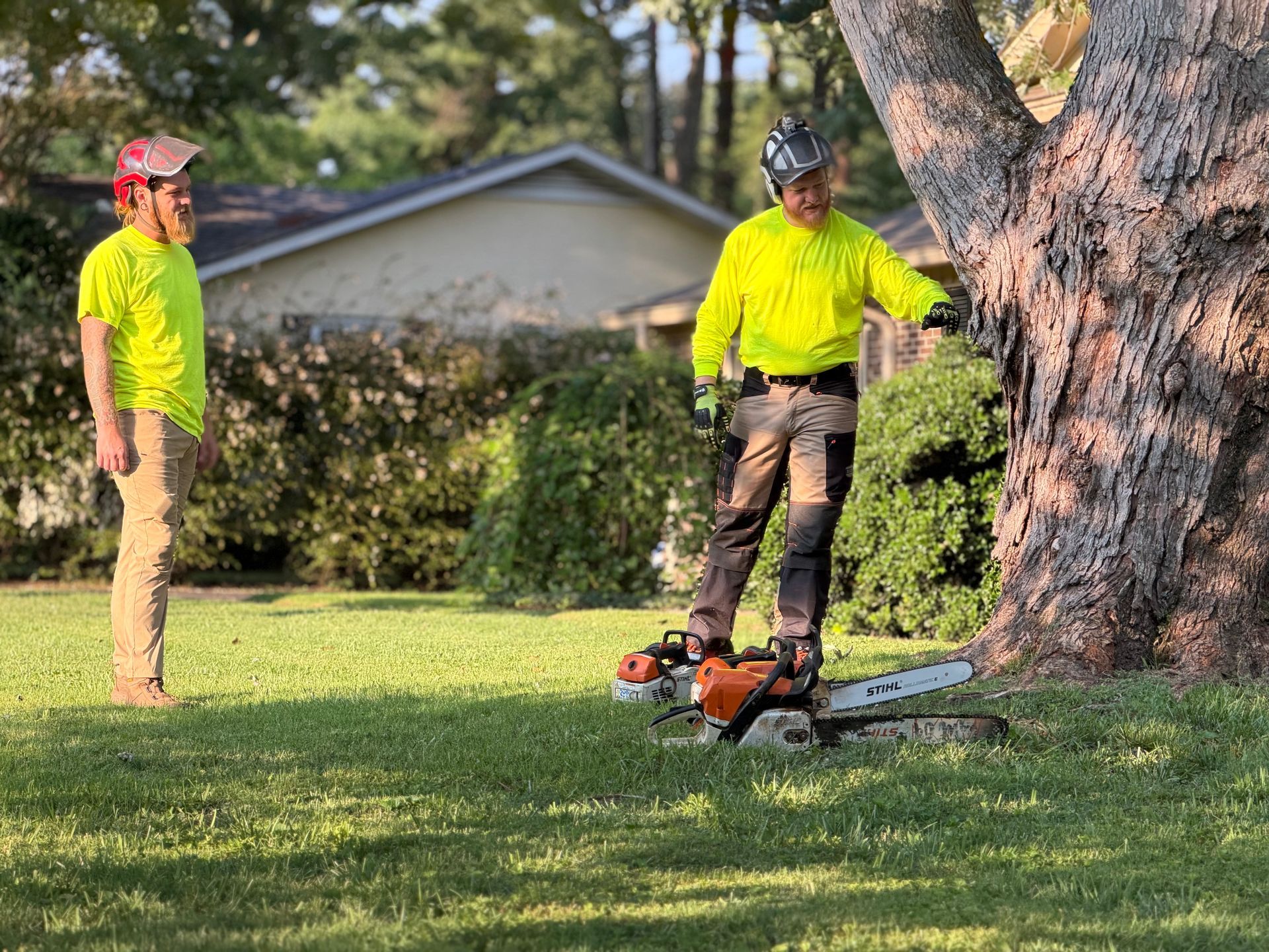Two workers in neon shirts trimming a large tree with a chainsaw and a pole saw in a yard