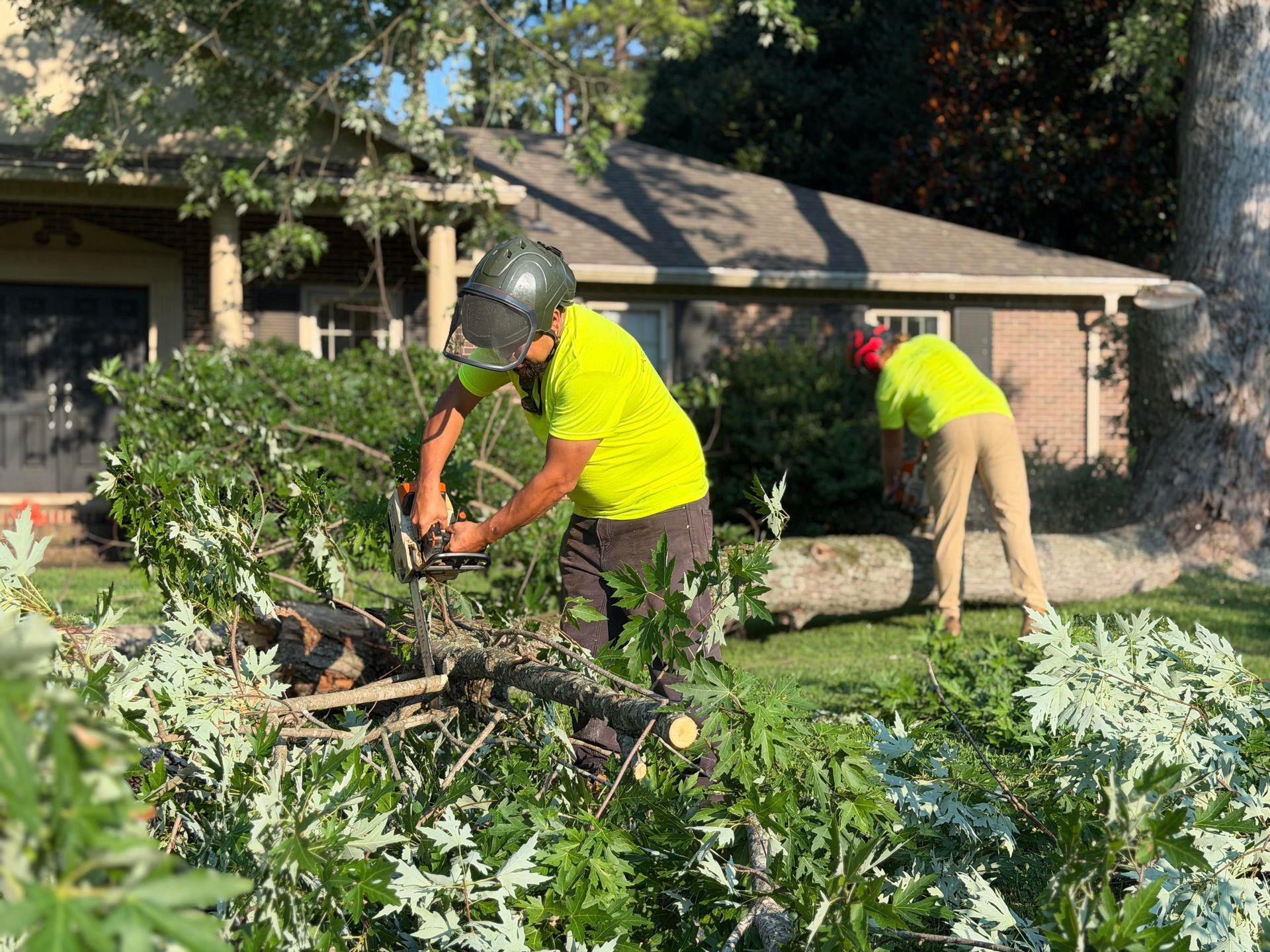 Workers trimming tree branches in a suburban yard near a brick house