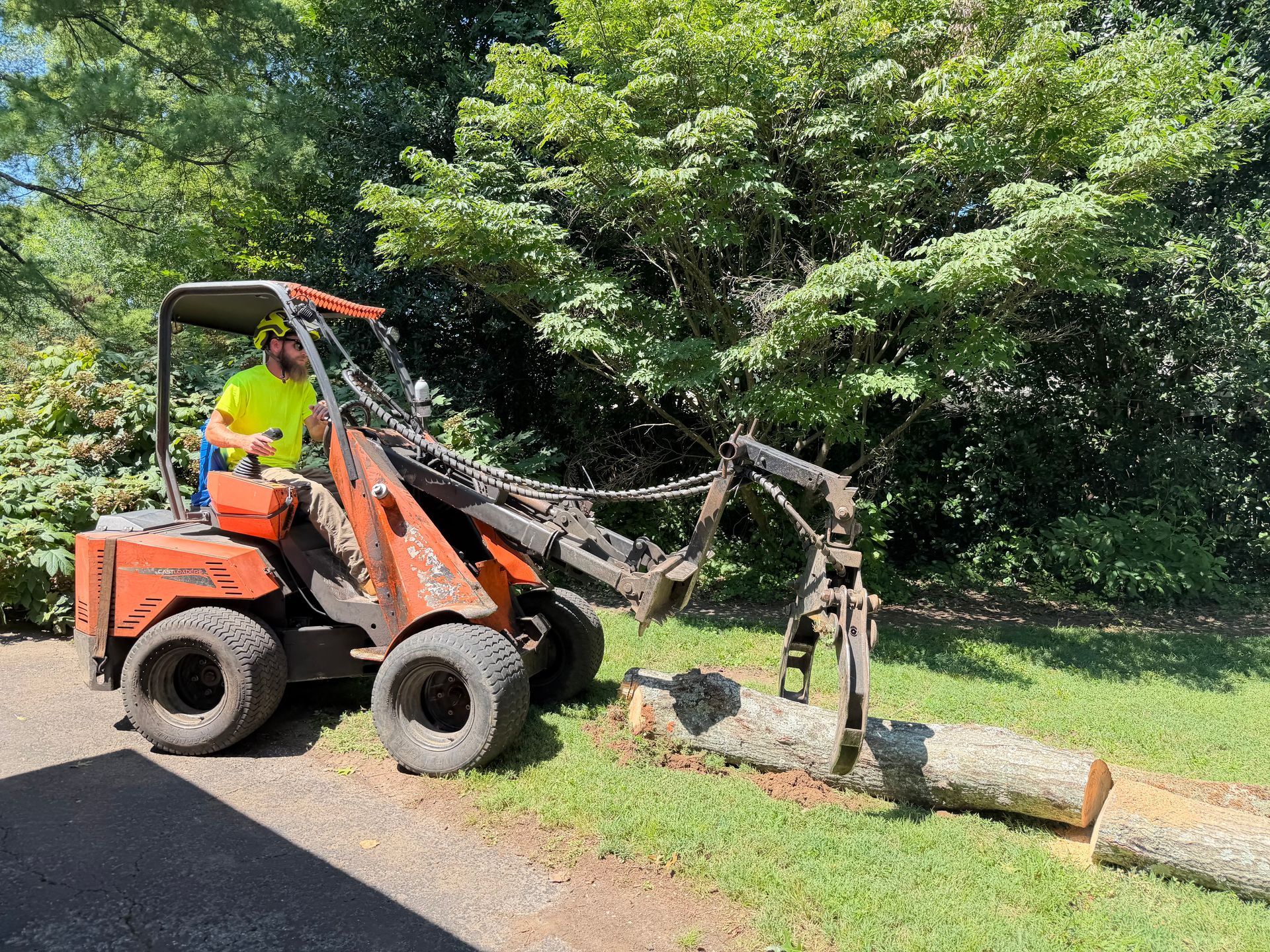Orange skid steer lifting a fallen log beside a road in a wooded area