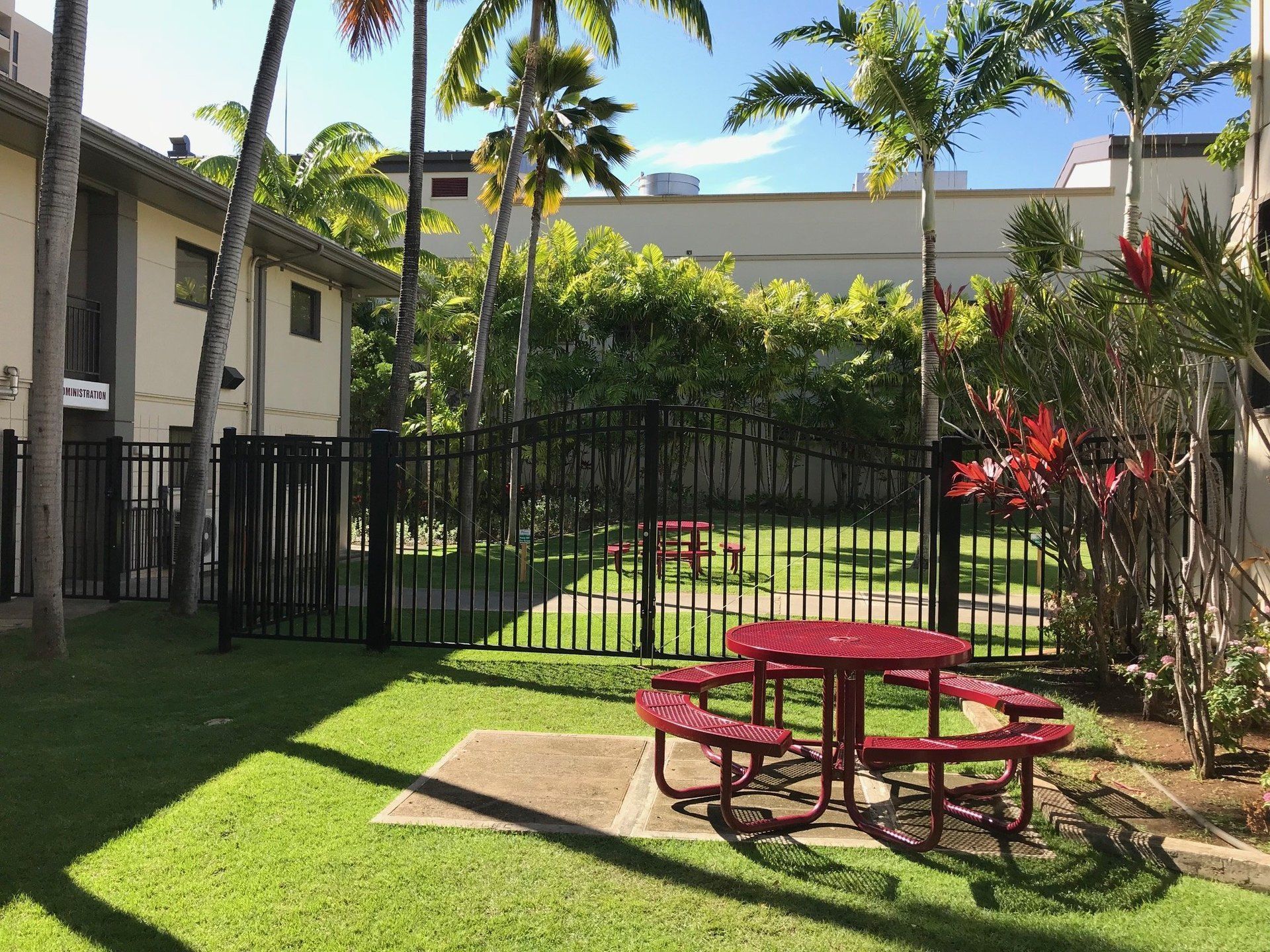 A red picnic table on a grassy lawn enclosed by a black metal fence, with palm trees and a building in the background.