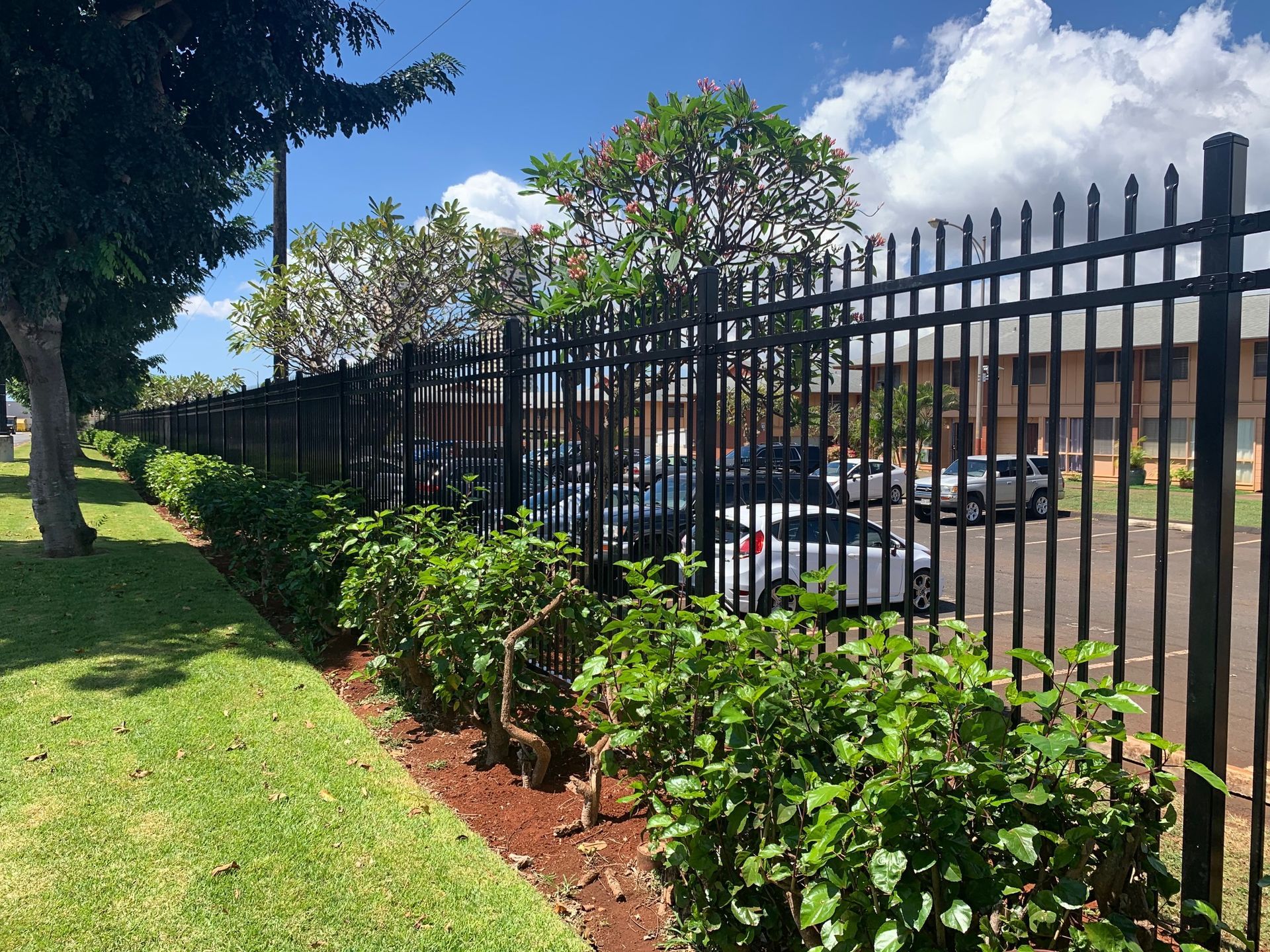 Black metal fence along a green lawn and bushes, with cars parked behind. Bright blue sky.