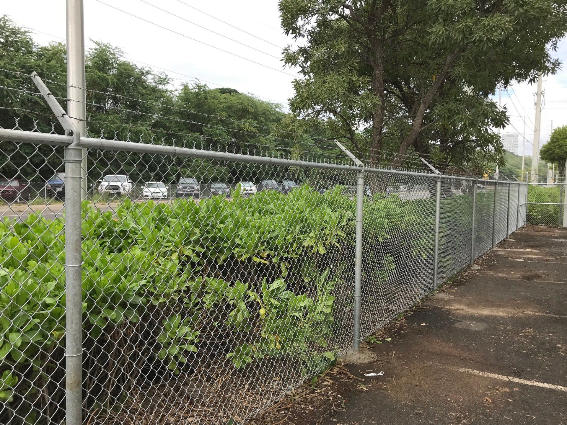 Chain link fence with security spikes, bordering greenery and a parking lot.