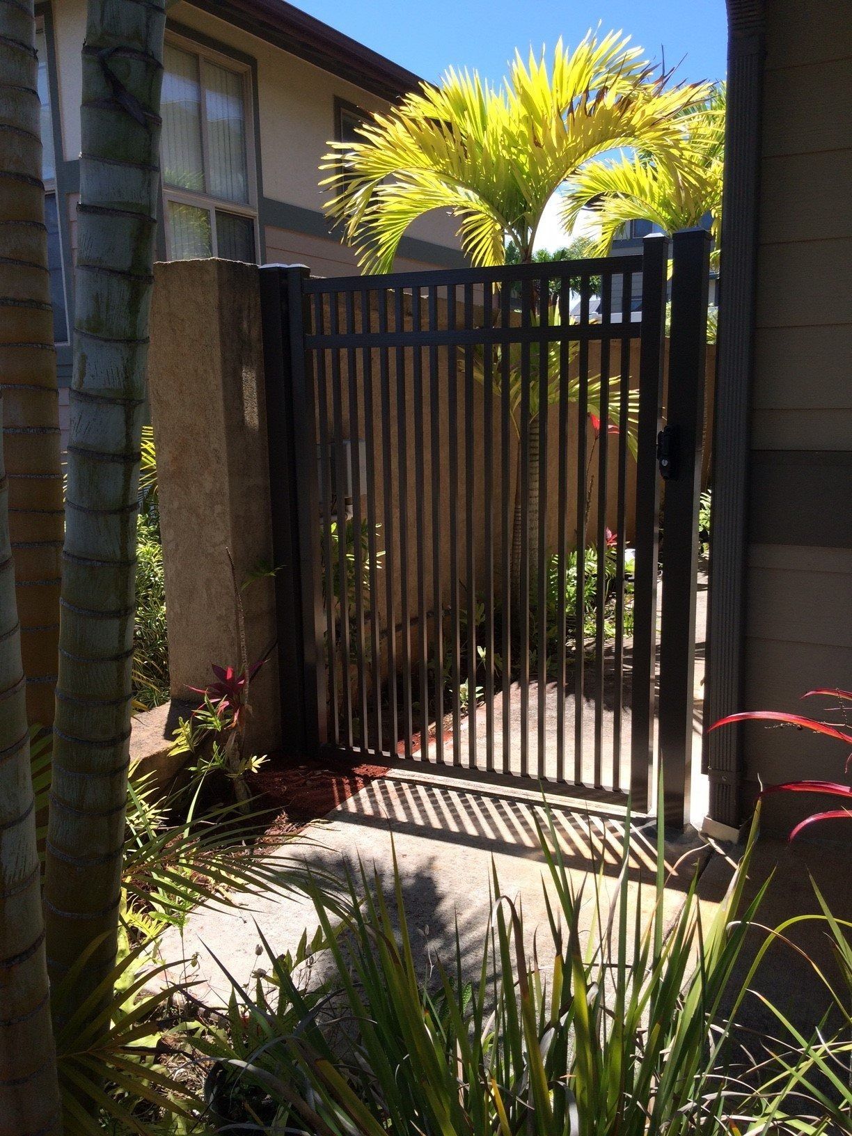 Black metal gate in a garden entrance. Sunlight illuminates a palm tree in the background.