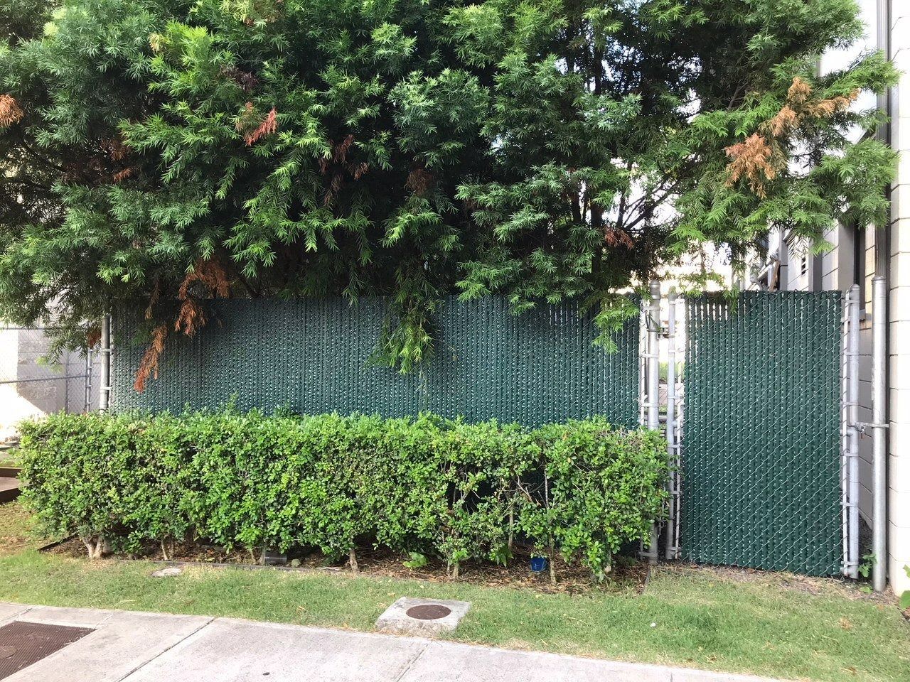 Green woven privacy fence with hedge, grass, and trees.