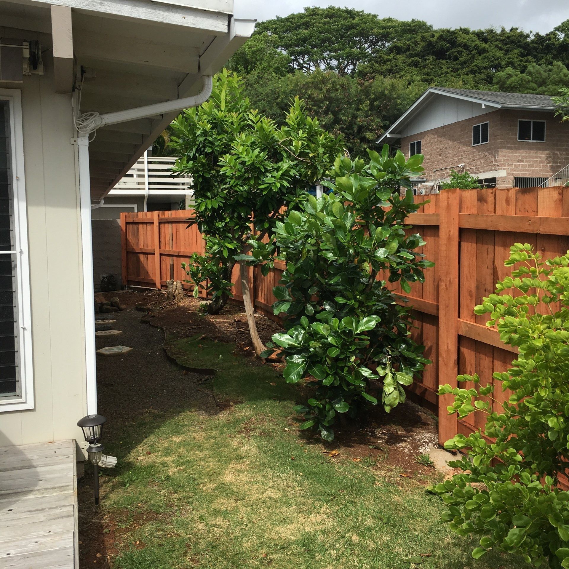 Small backyard with a wooden fence, green plants and trees, and a house in the background.