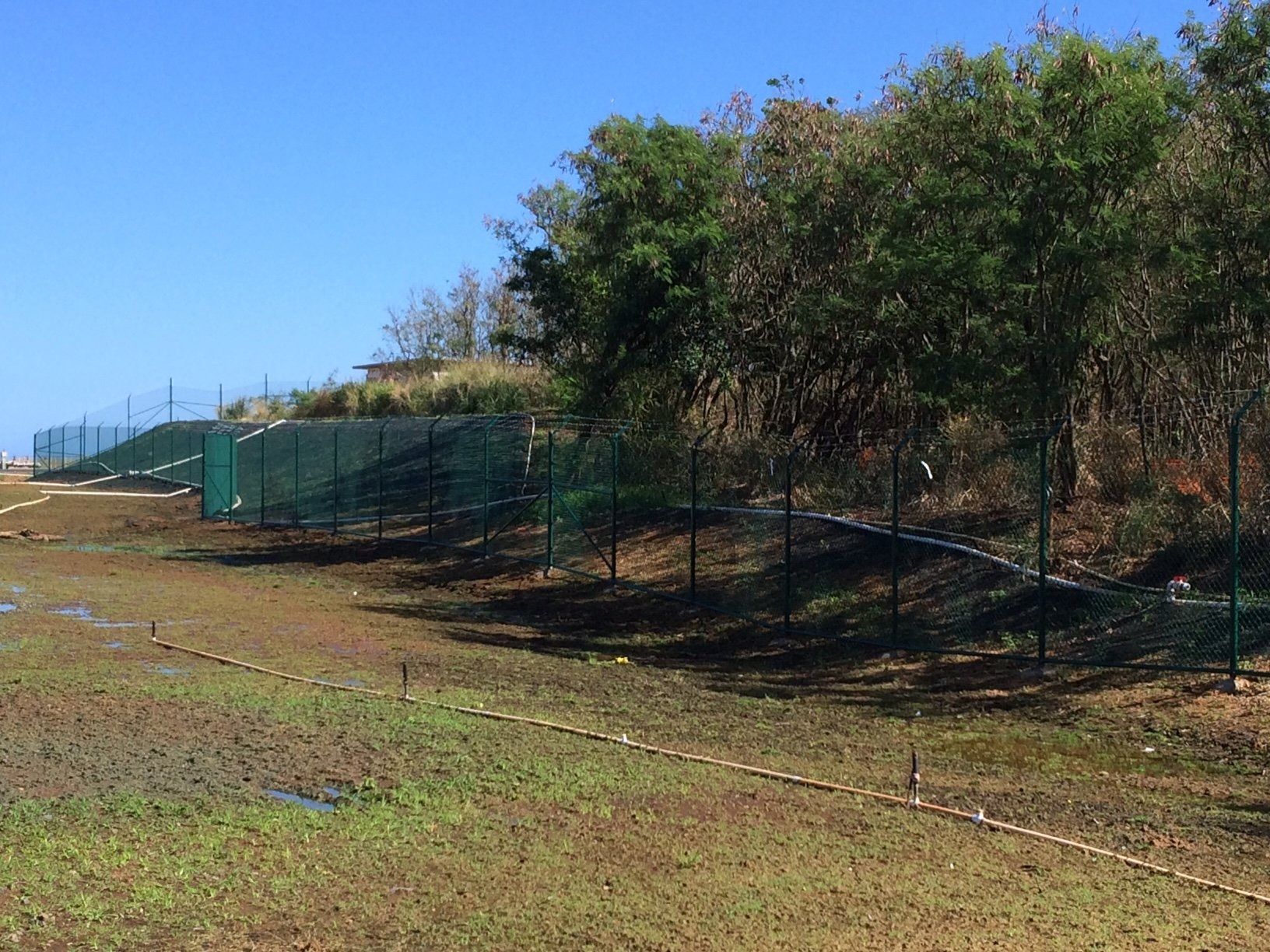 Green fence along a grassy area, with trees and a clear blue sky in the background.